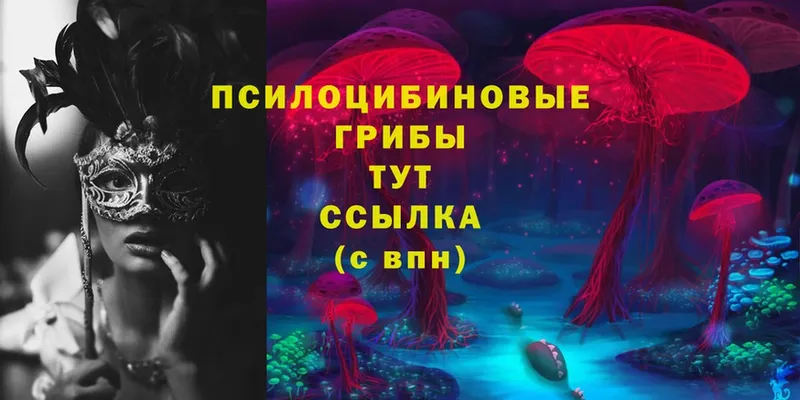 Псилоцибиновые грибы MAGIC MUSHROOMS  Клин 